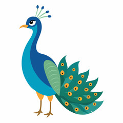 Peacock isolated on white, peacock vector illustration, bird on a branch vector art, peacock silhouette, bird vector icon, peacock on a branch line art, eps, peacock on a branch cartoon