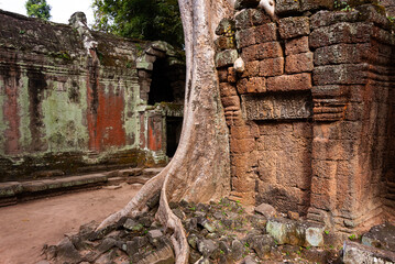 Angkor Thom, ancient temple ruins in Cambodia jungle with tree roots