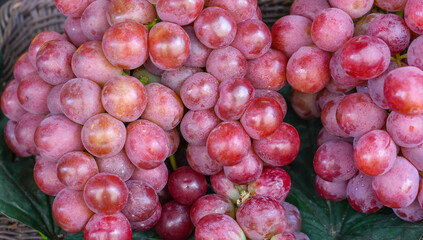 close up on fresh red grape