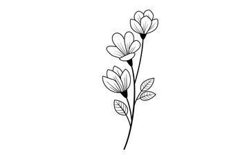 illustration of a flower element decorate vector png