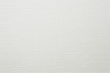 White Canvas Texture