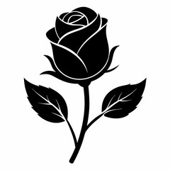 Black Rose flower bud silhouette