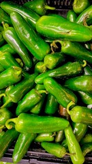 Jalapeño peppers on the Market
