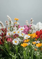 Obraz premium Colorful Wildflowers with Dew Drops in a Vibrant Spring Meadow, Close-Up during Morning