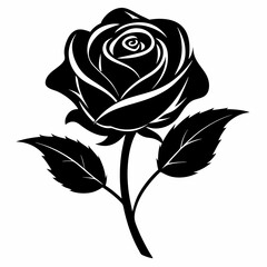 Black rose silhouette