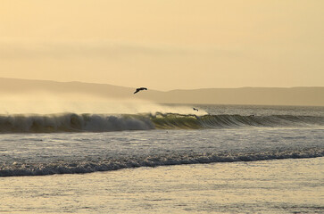 Evening at the beach