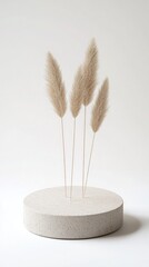 Elegant minimalistic podium setup featuring boho decor and pampas grass