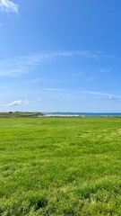 Green field and blue sky. Sele beach, Rogaland, Norway.