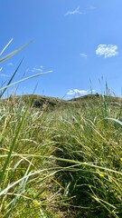 Naklejka premium Ognasanden beach, Ogna, Jæren, Rogaland, Norway.
