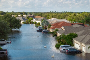 Flooded cars and houses from hurricane Debby rainfall water in Laurel Meadows community in...