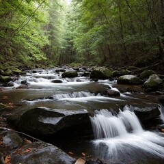 Explora Paisajes Naturales y Relajantes R&iacute;os Boscosos
