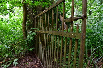 Old rusty gate, Cahir, Co. Tipperary, Ireland