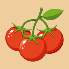 tomatoes cherry vector illustration