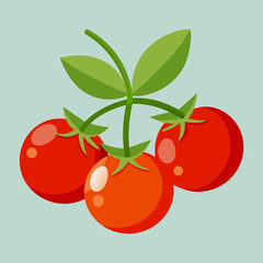 tomatoes cherry vector illustration