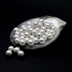 Expensive luxurious Chinese freshwater round pearls in a white shell, to be made into earrings, pendants or necklaces and sold in jewelry store. Popular feminine wedding accessory.