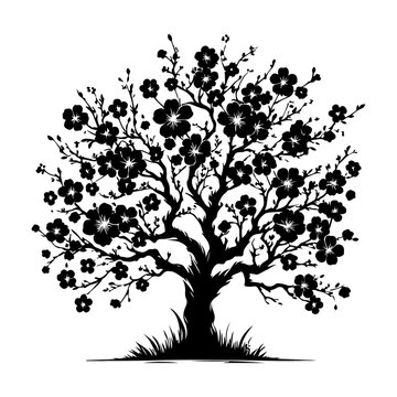 recommend clip art: Cherry Blossom Tree, vector black color silhouette, isolated white background