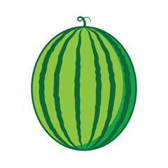 Vector illustration of red watermelon fruit Isolated on a white background. Fresh watermelon . Mobile app. Logo Illustration.