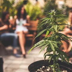 Cannabis in Harmony: A Pot Plant in a Flowerpot Amidst a Gathering of Friends, Highlighting the Social and Recreational Aspects of Homegrown Marijuana
