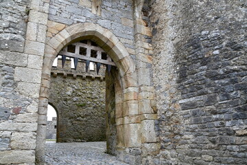 Cahir Castle, Cahir, Co. Tipperary, Ireland