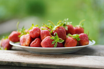 Plate of strawberries in the garden on a green background