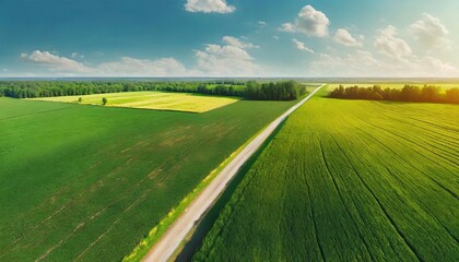 Colorful patterns in crop fields at farmland, aerial view,  Abstract geometric shapes of agricultural parcels of different crops green colors. Aerial view shoot 