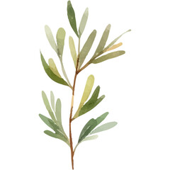 Watercolor illustration of a single green branch with leaves.