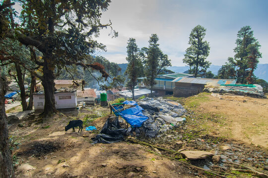 Scenic view of Sari village at Tungnath trek route. Tungnath temple, highest of the five Panch Kedar temples located in the Rudraprayag district, Uttarakhand, India. One of highest temple worldwide.