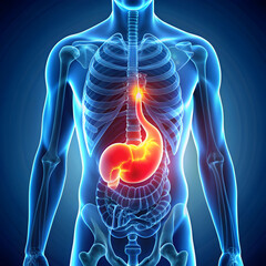 human stomach pain 3d rendered illustration