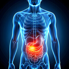 human stomach pain 3d rendered illustration