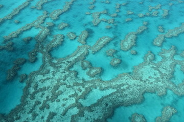 The Great Barrier Reef coral system seen from above in a small airplane