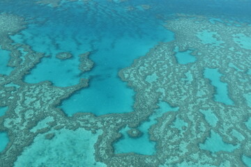 The Great Barrier Reef coral system seen from above in a small airplane