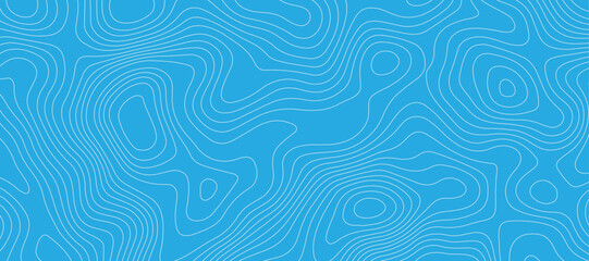 Light blue luxury topographic lines map background .modern technology wave curve line contour map design .seamless geography grid vector illustration .