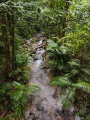 Long exposure of a fast flowing river in the rainforest