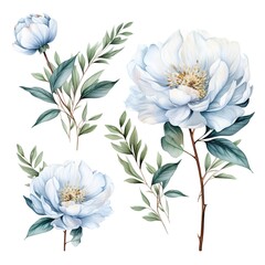 Watercolor illustration of delicate blue peonies and green leaves.