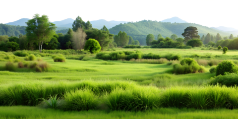 Scenic green landscape with rolling hills, isolated against transparent background