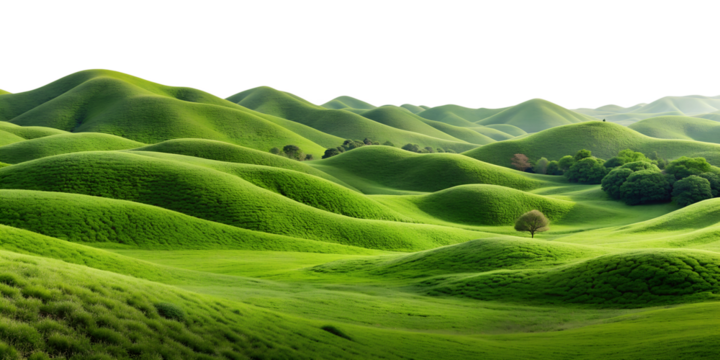 Expansive green fields and trees, isolated against transparent background