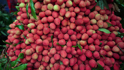 Freshly picked ripe lychees, ready for sale at the market. Vibrant colors and juicy sweetness of this tropical delight, straight from the orchard to your table. Lychee, Litchi, Lichee, fruit