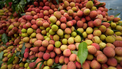 Freshly picked ripe lychees, ready for sale at the market. Vibrant colors and juicy sweetness of this tropical delight, straight from the orchard to your table. Lychee, Litchi, Lichee, fruit