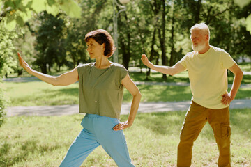 Focused retired people practicing karate position during summer day in park © AnnaStills