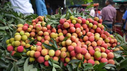 Freshly picked ripe lychees, ready for sale at the market. Vibrant colors and juicy sweetness of this tropical delight, straight from the orchard to your table. Lychee, Litchi, Lichee, fruit