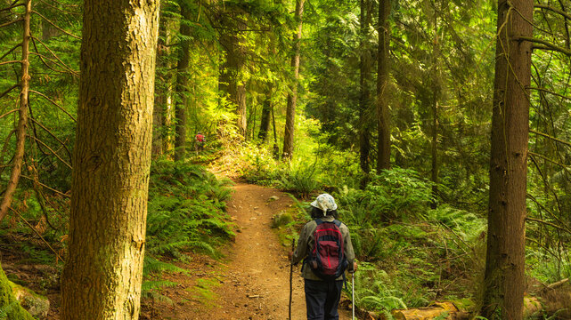 Canadian female senior hiking a BC urban forest trail.