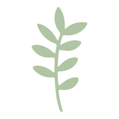Green leaves on a stem, simple botanical illustration