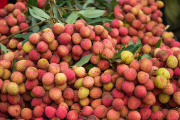Freshly picked ripe lychees, ready for sale at the market. Vibrant colors and juicy sweetness of this tropical delight, straight from the orchard to your table. Lychee, Litchi, Lichee, fruit
