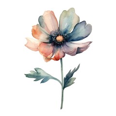 Watercolor painting of a single flower with muted colors.