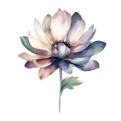 Fototapeta premium Watercolor painting of a single flower with soft blue and pink hues.
