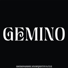 unique and elegant font vector type set