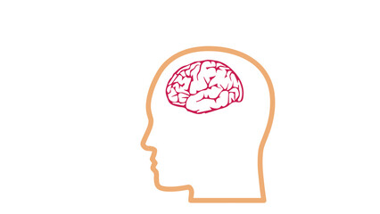 human head with brain