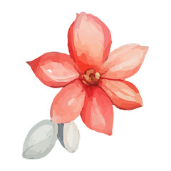 Watercolor painting of a single pink flower with a light gray bud.