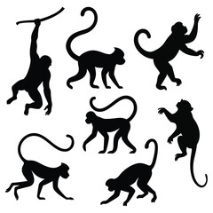 A set of monkey silhouettes. isolated vector on white background. © Vector Vander