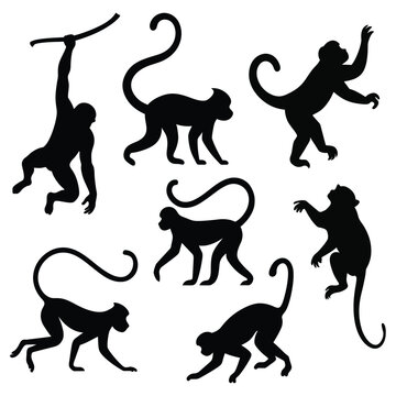 A set of monkey silhouettes. isolated vector on white background.